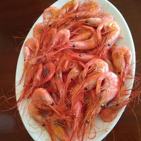 Casa de Férias Casa Del Pescador *